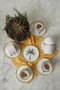 Hermia Juego de tazas de té de 12 piezas en Blanco, Verde y Amarillo